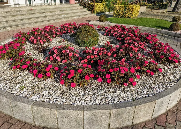 Contriz 호텔 포보아데바짐